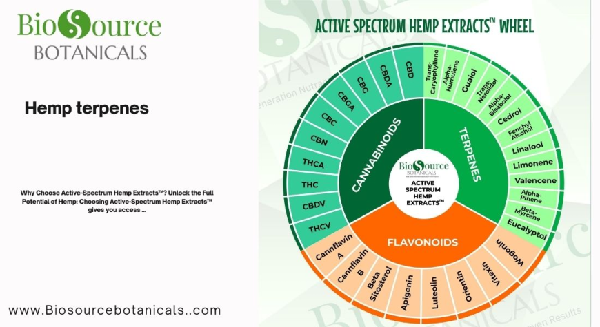 The Power of Hemp Terpenes: A Guide to Active Spectrum Wellness Products