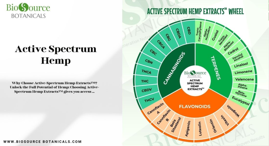 Understanding the Power of Active Spectrum Hemp: A Natural Approach to Wellness