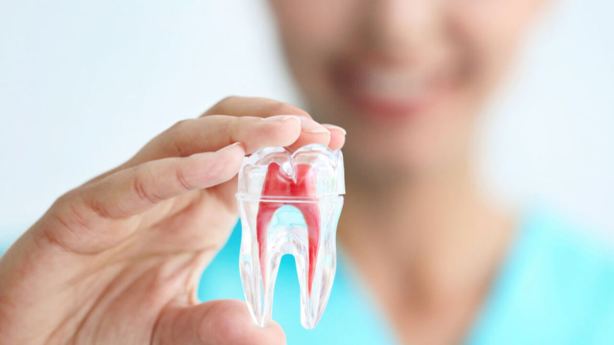 Pain-Free Dentistry in North Melbourne: What to Expect