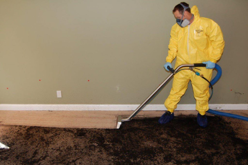 Experts Tackle Sewage Cleanup Swiftly and Safely