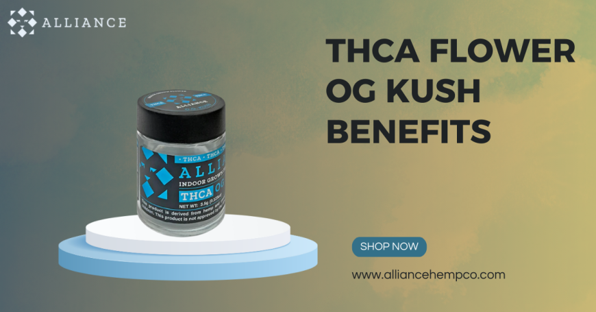 THCA Flower OG Kush: Nature’s Answer to Stress & Relaxation