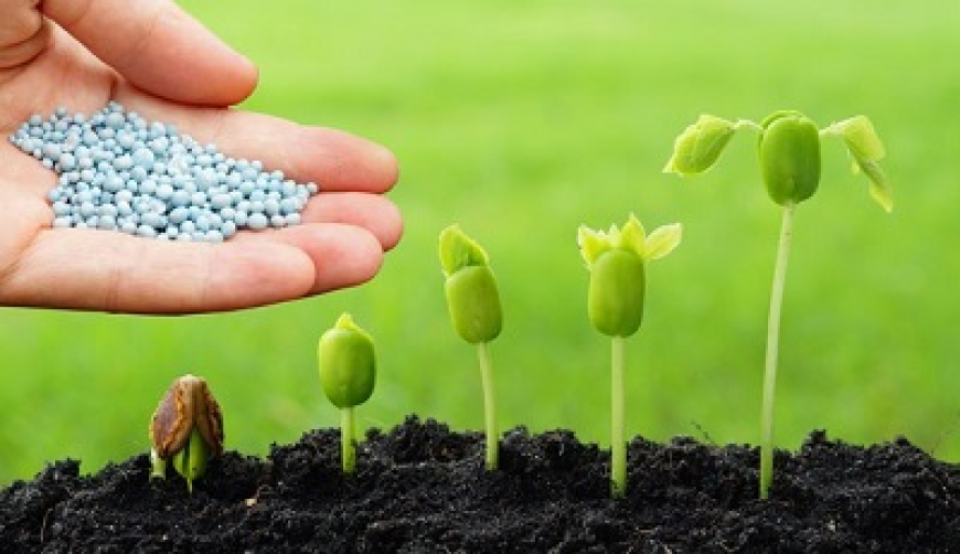 Biocides Market worth USD 12.76 Billion Globally by 2033 with 3.7% CAGR | Exclusive Report by We Market Research