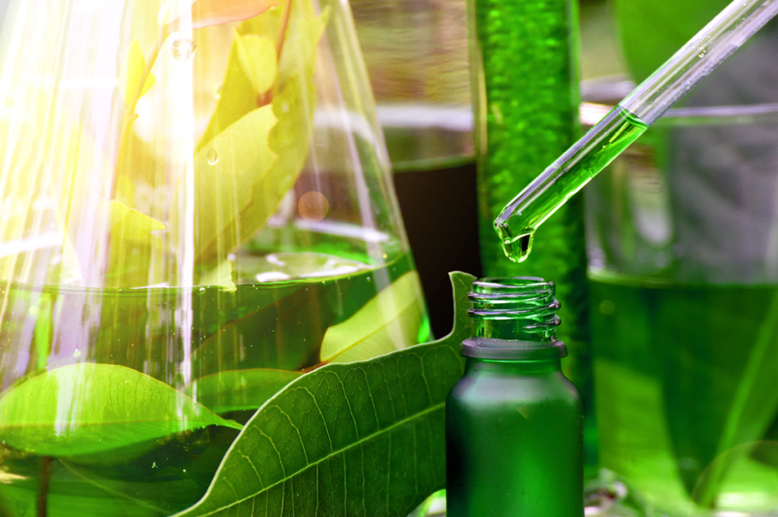 The Green Revolution: Innovations in Plant Extracts Market