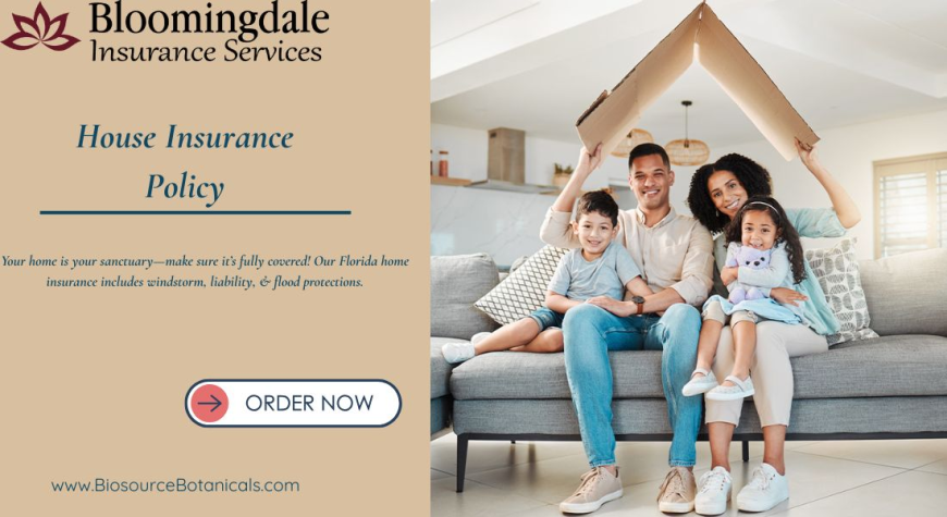 Protect Your Future with a House Insurance Policy from Bloomingdale Insurance Services in Valrico, FL
