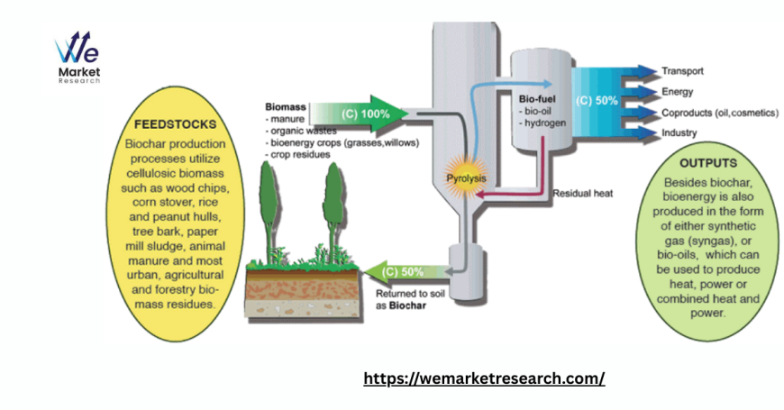 Biochar Market Opportunities in Sustainable Agriculture Practices