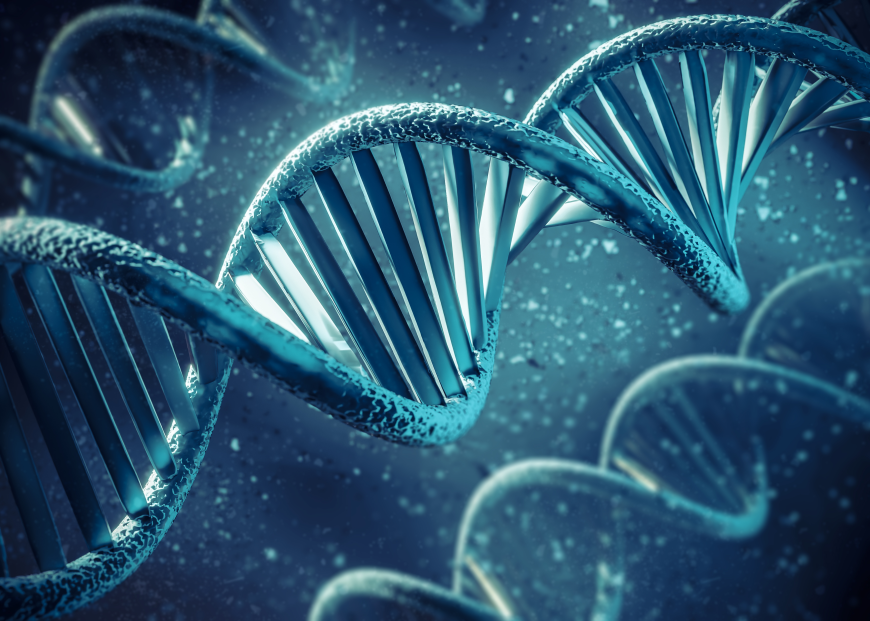 Cell Therapy Market: Trends, Growth, and Forecast 2025–2032