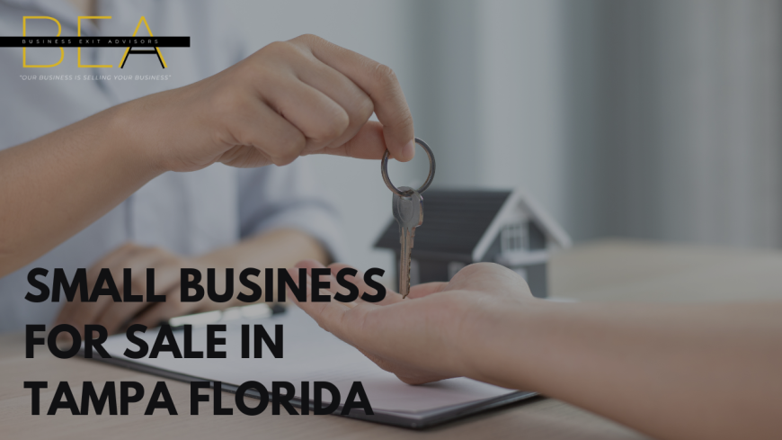 How to Find the Right Small Business for Sale in Tampa, Florida