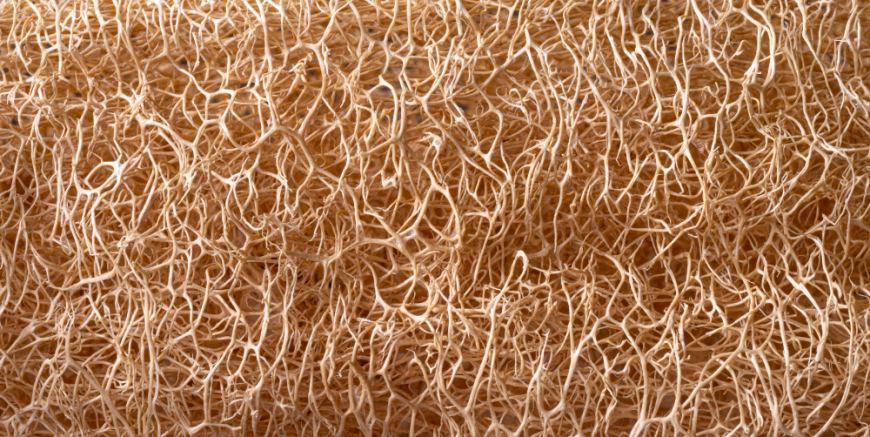 Hemp Fiber Market Trends 2025: Growth Opportunities and Key Players