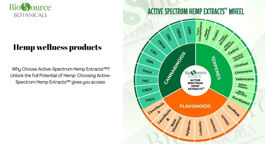 Elevate Your Wellness with Active Spectrum: The Future of Hemp Wellness Products