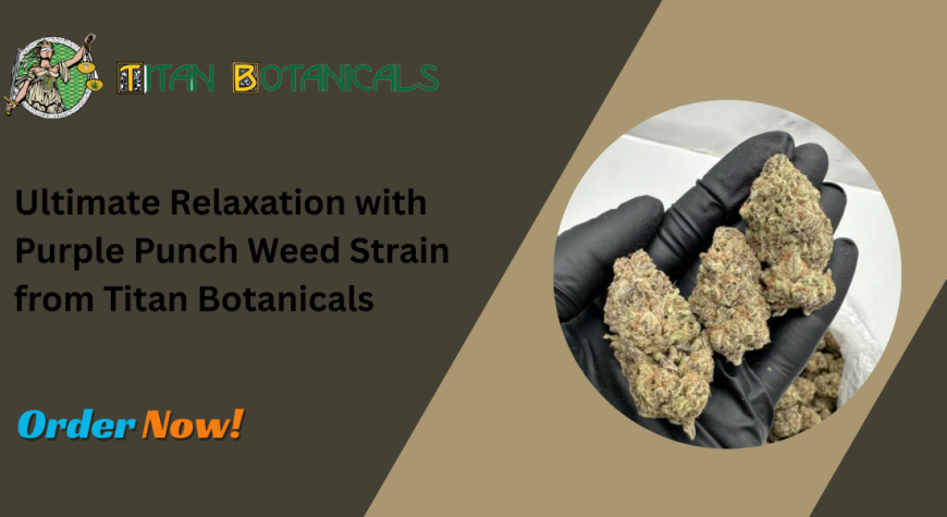 Ultimate Relaxation with Purple Punch Weed Strain from Titan Botanicals