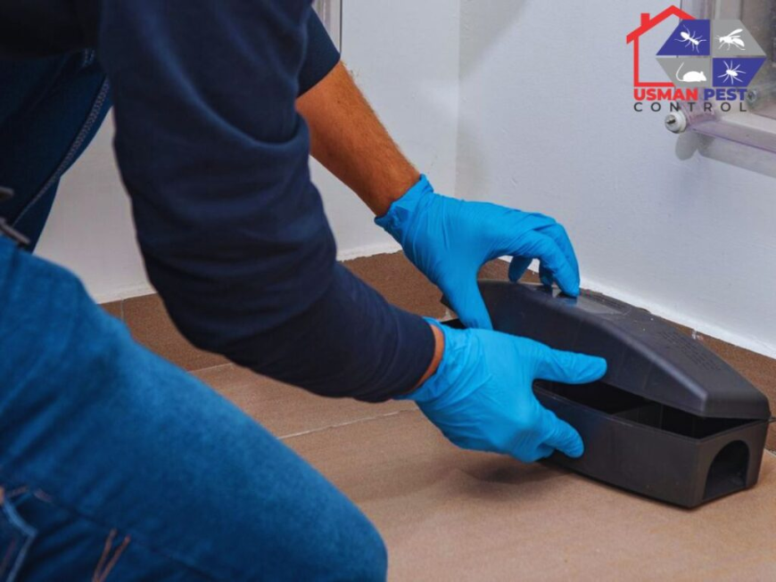 Professional Termite Control Services and Rodent Pest Control