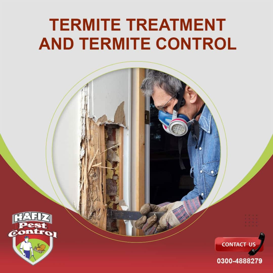 Termite Treatment and Professional Termite Control Services