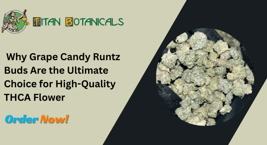 Why Grape Candy Runtz Buds Are the Ultimate Choice for High-Quality THCA Flower