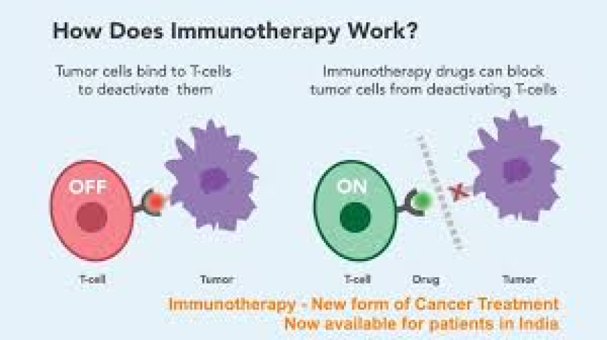 What You Need to Know About Immunotherapy for Cancer Patients