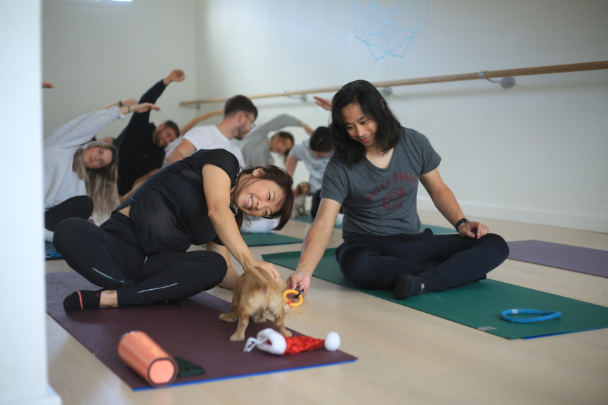 Why Puppy Yoga Classes Are the Perfect Private Event for Pet Lovers