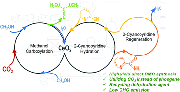 Dimethyl Carbonate Market Investment Opportunities and Regional Outlook