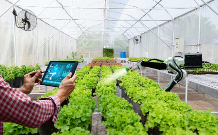 Transforming Agriculture: The Digital Farming Market Report
