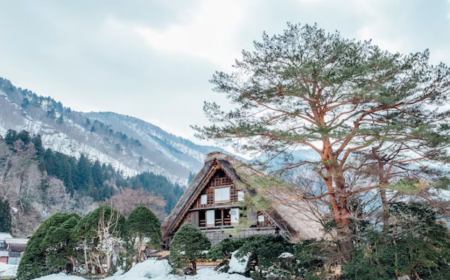 Romantic Escape: Best 5 Star Honeymoon Resort in Shimla for Couples