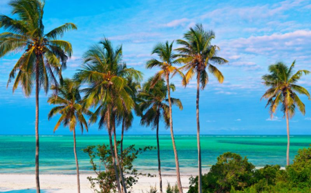 مدونة سفر: 8 أفضل الأماكن في زنجبار للتصوير الفوتوغرافي