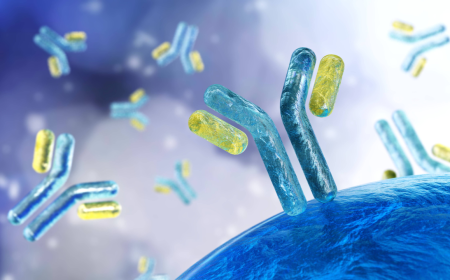 Regional Insights: Growth Opportunities in the Global Research Antibodies Market
