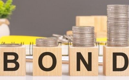 Types of Indian Government Bonds Explained