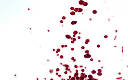 Hematologic Malignancies Market Trends 2025: Emerging Therapies and Growth Insights