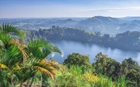 Top Wildlife Experiences in Uganda: Safari Guide 2025