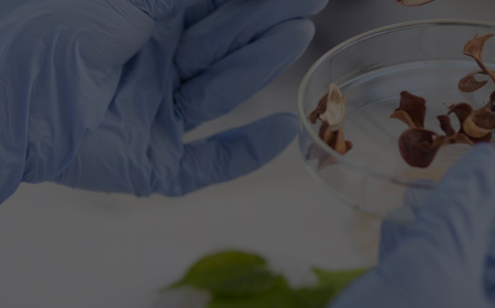 An Introduction to M. Sc. Biochemistry: Curriculum, Career Opportunities & Top Jobs in India