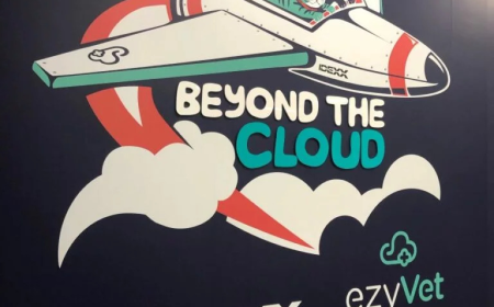 How Calgary Businesses Can Boost Brand Visibility with Custom Signs from Local Sign Shops