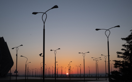 Japan Peptic Ulcer Treatment Market: Key Players, Trends and Forecast