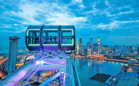 Best Local Dishes to Try in Singapore’s Hawker Centres 