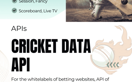 API of Cricket: Everything You Need to Know About Cricket API, Live Scores & Odds Feeds