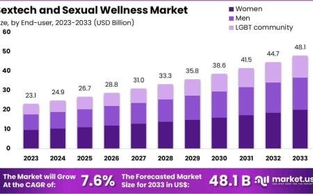 Sextech and Sexual Wellness Market Segmentation by Product and Service Type