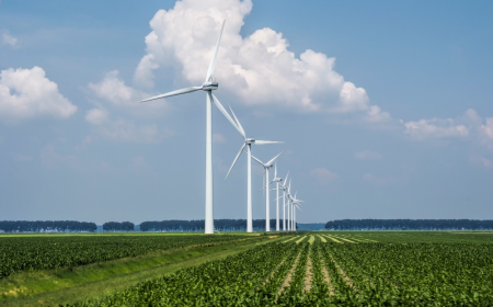 South Korea Wind Energy Market: Harnessing the Power of Clean Energy for a Sustainable Future