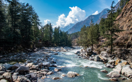 Why Tourists Prefer Suvidha Travels as Their Tour Operator in Patna