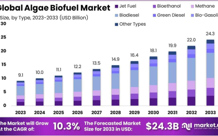 Algae Biofuel Market Competitive Landscape and Major Producers
