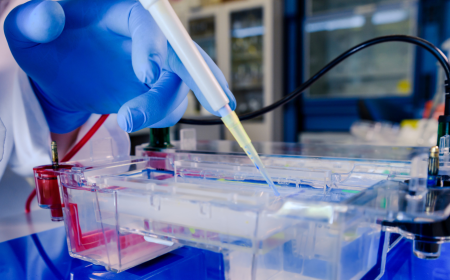 Electrophoresis Market: Accelerating Innovation in Genomic and Proteomic Research