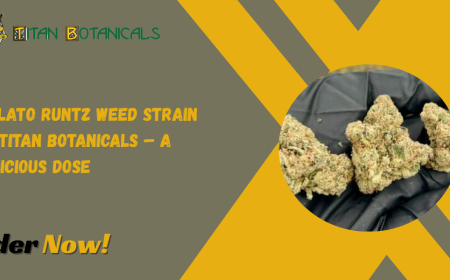 Gelato Runtz Weed Strain by Titan Botanicals – A Delicious Dose