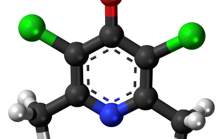 Clopidol Market Dynamics: Trends, Challenges, and Opportunities