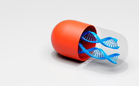 Erythromycin Market Outlook: Key Players, Applications, and Growth Opportunities