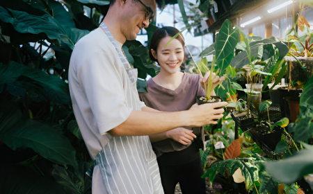 Why Terrarium Workshops Are Gaining Popularity in Singapore