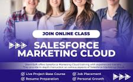 From Email to Automation: What You Learn in Salesforce Marketing Cloud Training in India