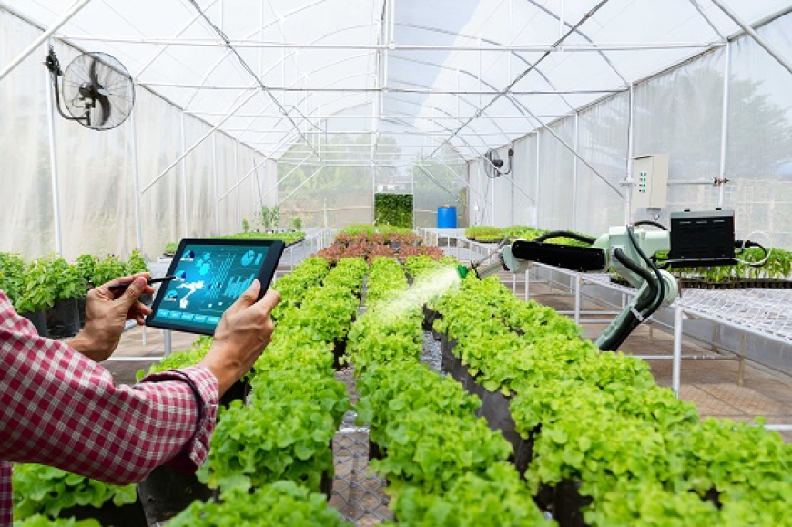 Transforming Agriculture: The Digital Farming Market Report