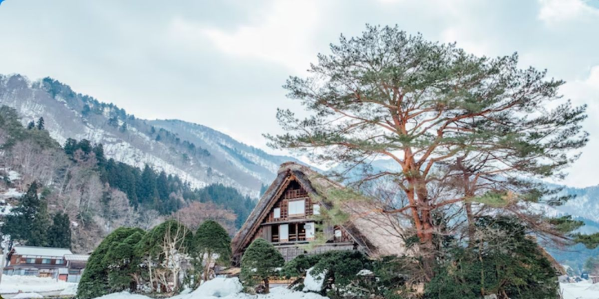 Romantic Escape: Best 5 Star Honeymoon Resort in Shimla for Couples