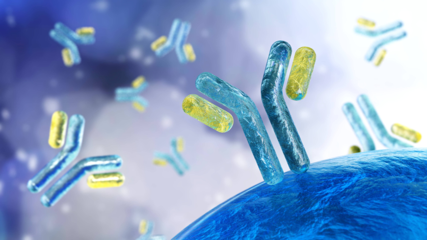 Regional Insights: Growth Opportunities in the Global Research Antibodies Market