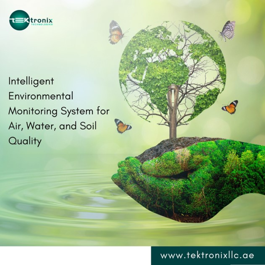Environmental Monitoring Initiatives Gain Momentum across UAE