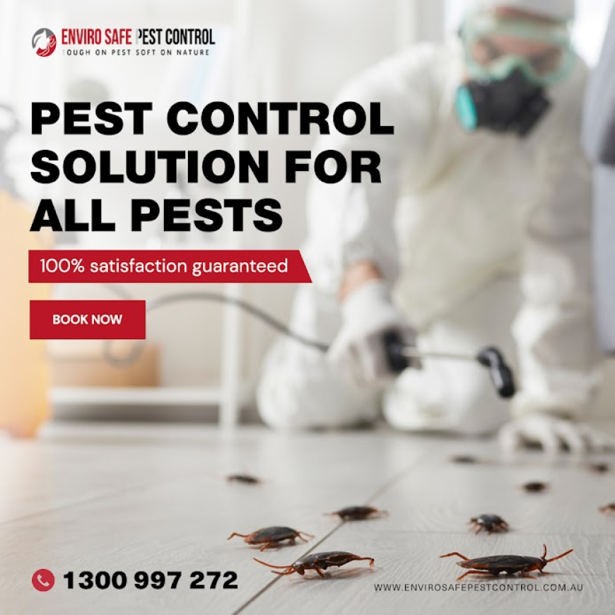 Crawl, Creep, and Critters: Melbourne’s Ultimate Pest Control Survival Guide