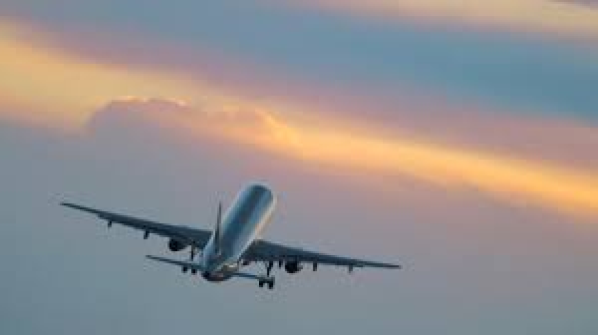 Key Services Accessible Through the Singapore Airlines SEA Airport Phone Number