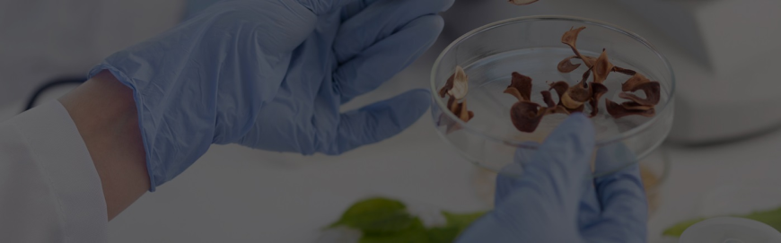 An Introduction to M. Sc. Biochemistry: Curriculum, Career Opportunities & Top Jobs in India