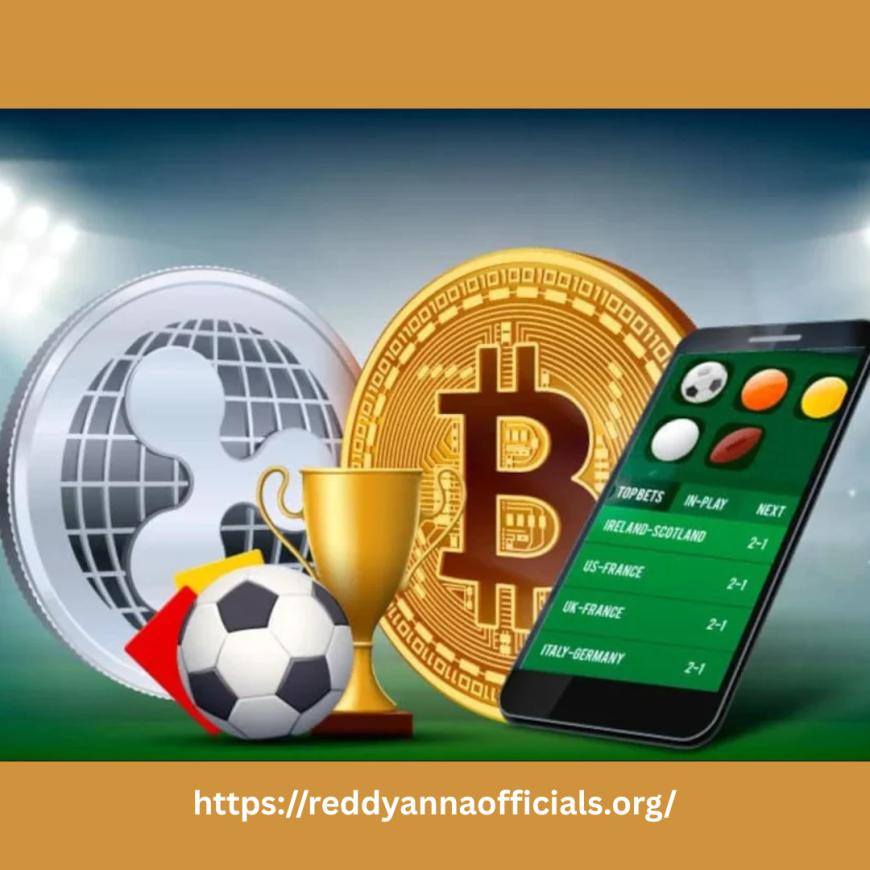 Inside the Game: Why ReddyAnna Is the Go-To Hub for Sports Bettors Today